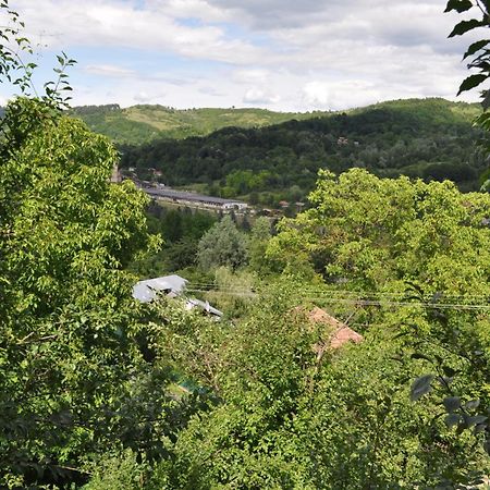 Casuta Cu Trandafiri Hotell Slănic Exteriör bild