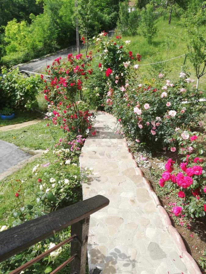 Casuta Cu Trandafiri Hotell Slănic Exteriör bild