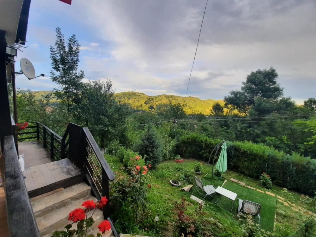 Casuta Cu Trandafiri Hotell Slănic Exteriör bild