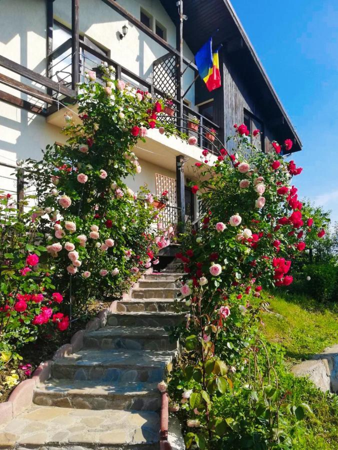 Casuta Cu Trandafiri Hotell Slănic Exteriör bild