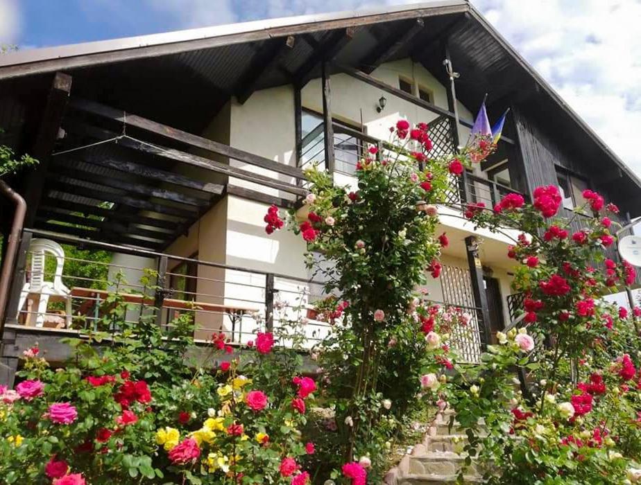 Casuta Cu Trandafiri Hotell Slănic Exteriör bild