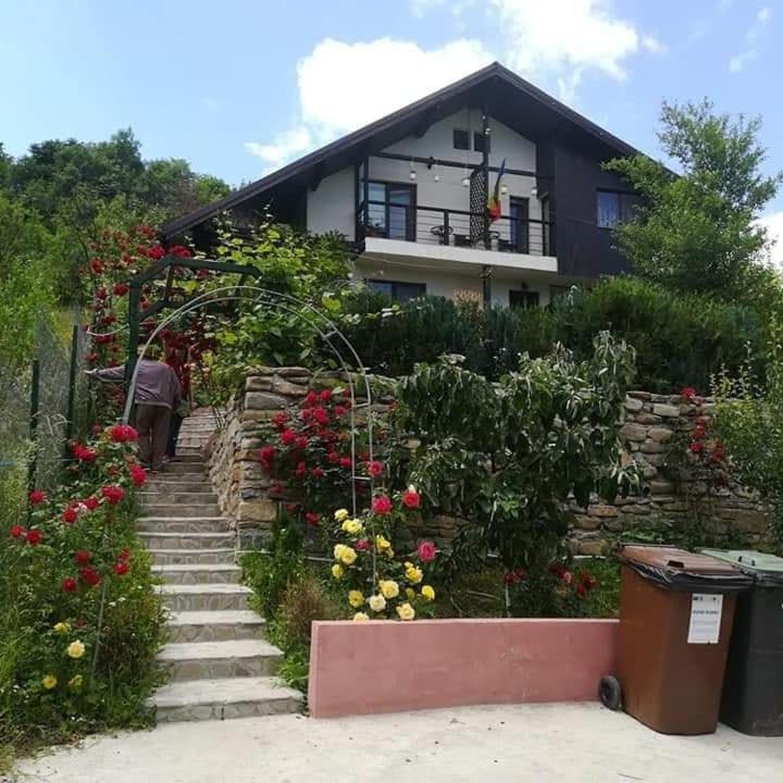 Casuta Cu Trandafiri Hotell Slănic Exteriör bild
