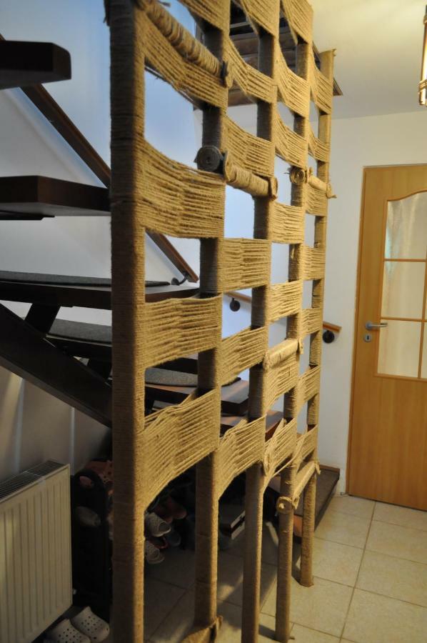 Casuta Cu Trandafiri Hotell Slănic Exteriör bild