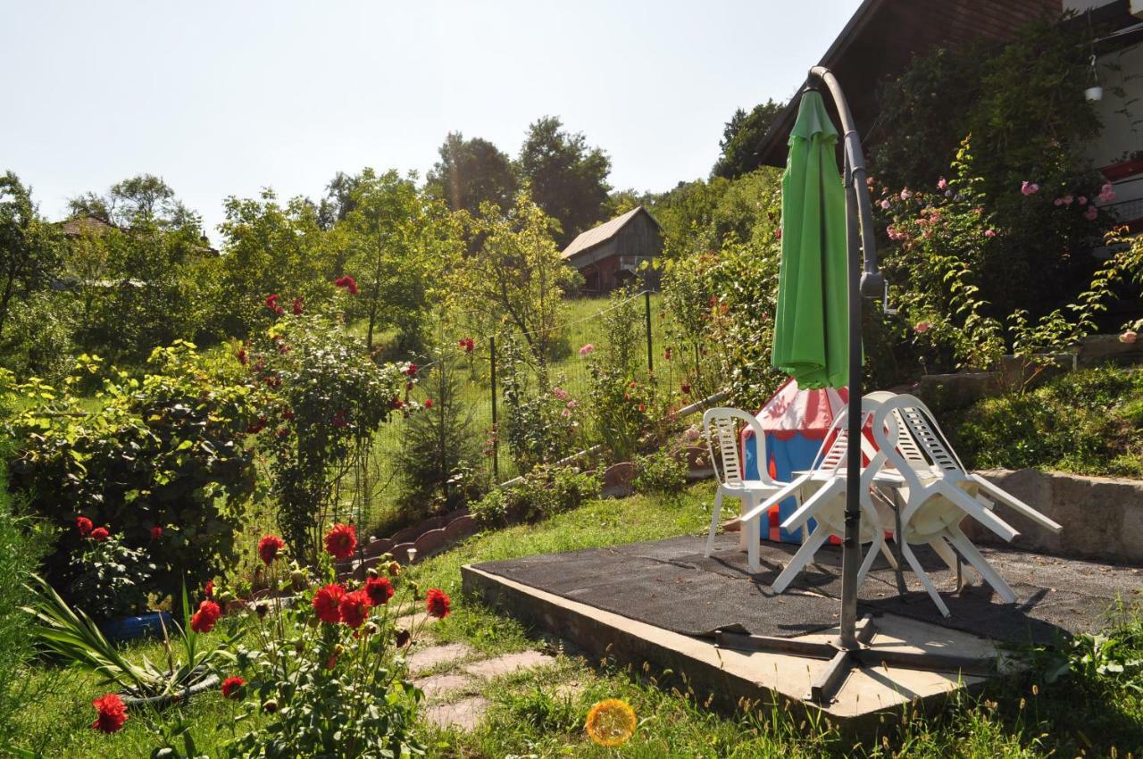 Casuta Cu Trandafiri Hotell Slănic Exteriör bild
